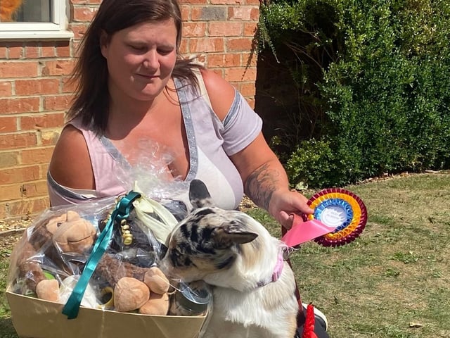 Best in the show winner