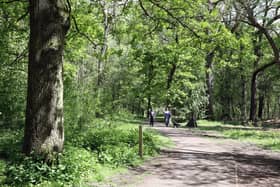 Woodland Walks: Corby: Throrughsale Woods,