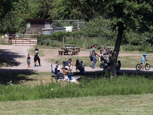 Fermyn Woods Country Park near Brigstock - walks play area and nature, and a cafe! Best days out in north Northamptonshire for bank holidays and trips out with the family/ National World