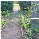 Rushden Town Council has posted pictures after vandals destroyed daffodils planted in the sensory garden of Hall Park