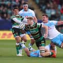 Saints will square up to Vodacom Bulls again at Franklin's Gardens in the Champions Cup next season