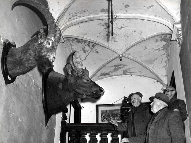 Three men look at the stags' heads in Rushden Hall