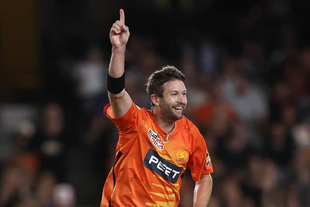 AJ Tye is the only bowler to have taken 300 career T20 wickets