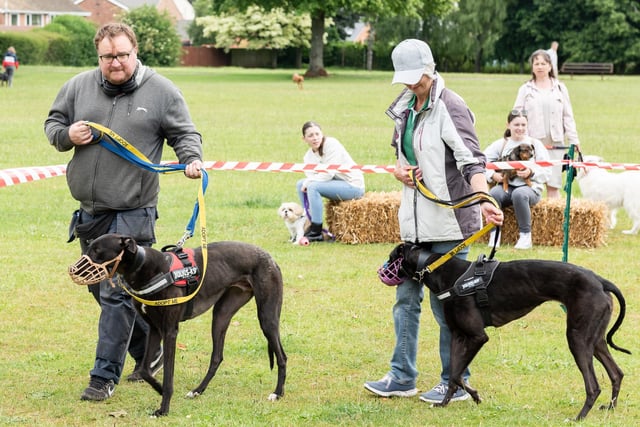 Dog owners turned up on Sunday (June 19) to Animals in Need Northamptonshire's Earls Barton Dog Show