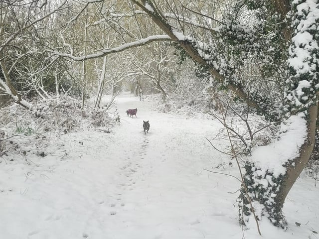 Come baaaaaaccccckkkk!