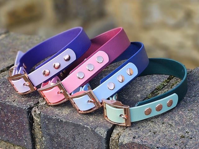 Trinkety Paw collars