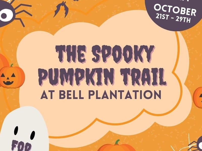 The free event will be running at the Towcester garden centre from Saturday October 21 to Sunday October 29. Kids will need to follow clues on the activity sheet to find pumpkins around the garden centre. There will be a mystery prize at the end. No need to book.