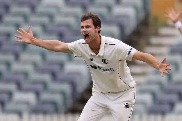 Matt Kelly appeals for a wicket