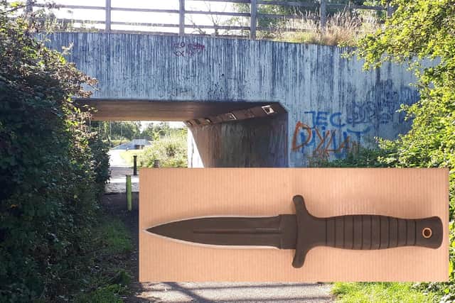 The underpass where Dylan Holliday was killed - and the 'Rambo' knife that his killer used