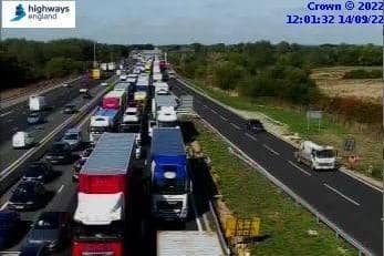 Queues on the M1 on Wednesday as traffic officers tried to round up a flock of rogue sheep