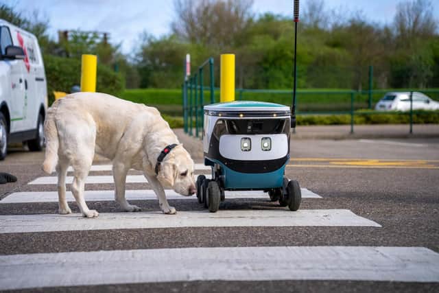 Amelia, David Holmes' guide dog and DPD delivery robot, Levi