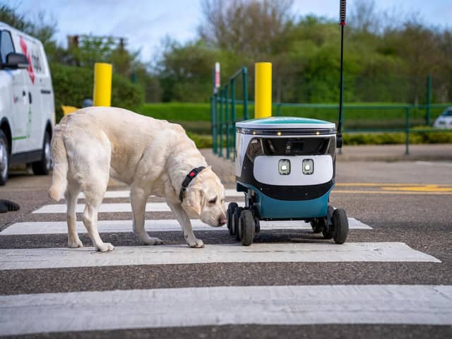 Amelia, David Holmes' guide dog and DPD delivery robot, Levi
