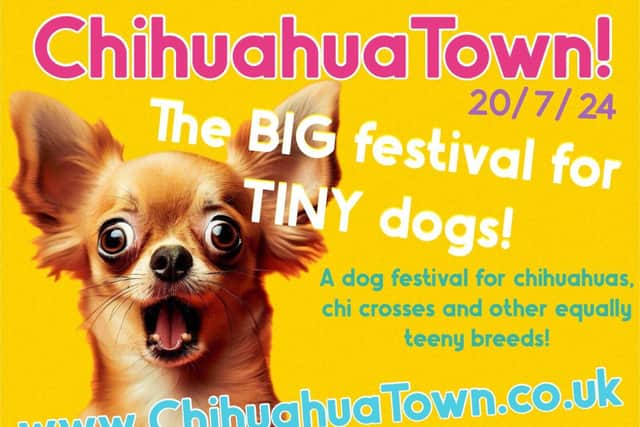 ChihuahuaTown!