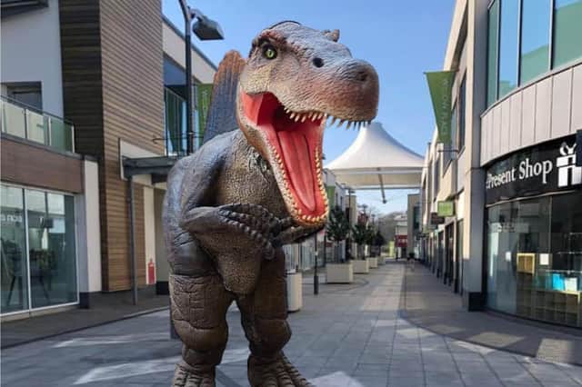 A spinosaurus will be among the dinosaurs roaming the Corby plains this summer. Image: NationalWorld / Corby Town Shopping and Willow Place