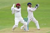 Luke Procter hits out on his way to a half century for Northants against Essex (Picture: Peter Short)