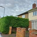 Ian Bhatti's house, pictured right, with the hedge he was told to trim back on the left