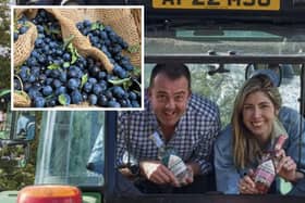 Warner's is having a sloe swap at Falls Farm on October 11