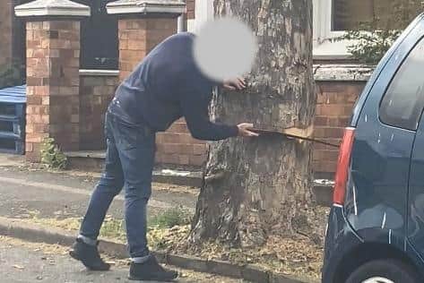 The man sawed the tree in Roundhill Road, Kettering to kill it