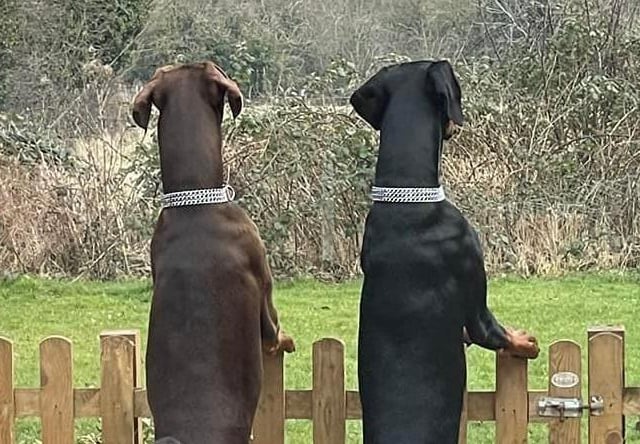 "Erm.. what’s going on over there then?"