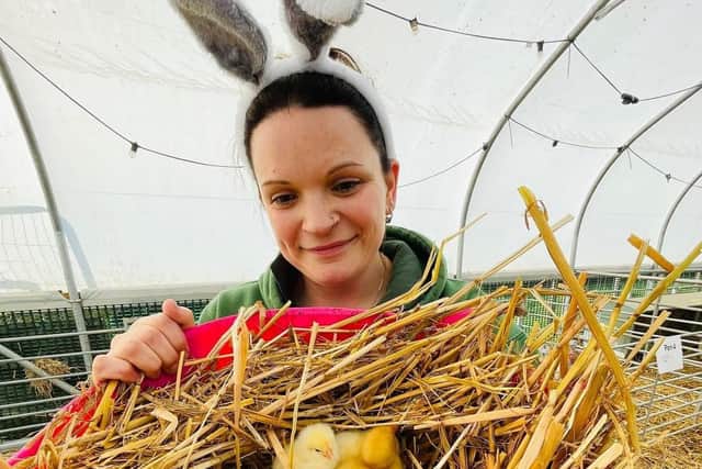 Mini Meadows Farm is hosting a three week long Easter event.