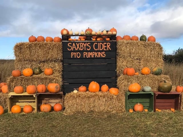 You can now pre-book tickets to your own pumpkins at Saxby’s farm in Wellingborough from October 15! Bring your wellies, grab a wheelbarrow and venture through the patch to pick as many pumpkins as you want. The Saxby’s Cider bar and shop will be open and there will be a BBQ and trailer rides, which can be purchased on arrival. Please note that no dogs are allowed in the pumpkin patch. Tickets cost £2.50 and include entry for one car and all occupants. Admission is from 10am to 4pm.