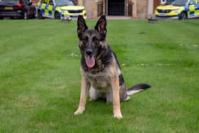PD Kez is hanging up her collar after five years with Northamptonshire Police.