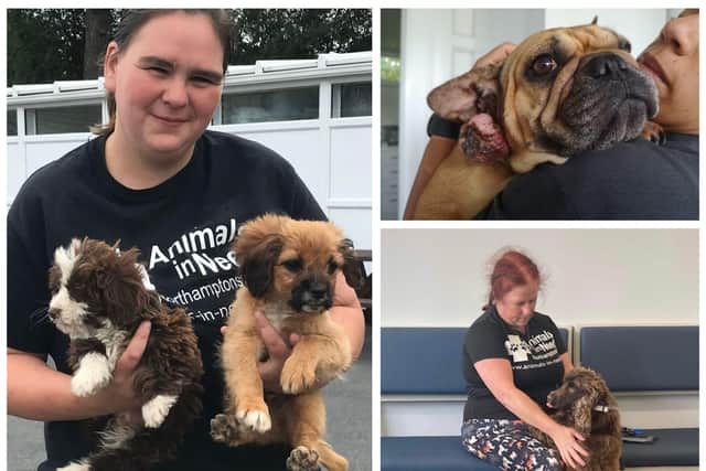 Animals In Need is appealing for help in rehoming its animals