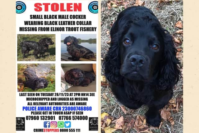 Wilbur has been missing since November 28