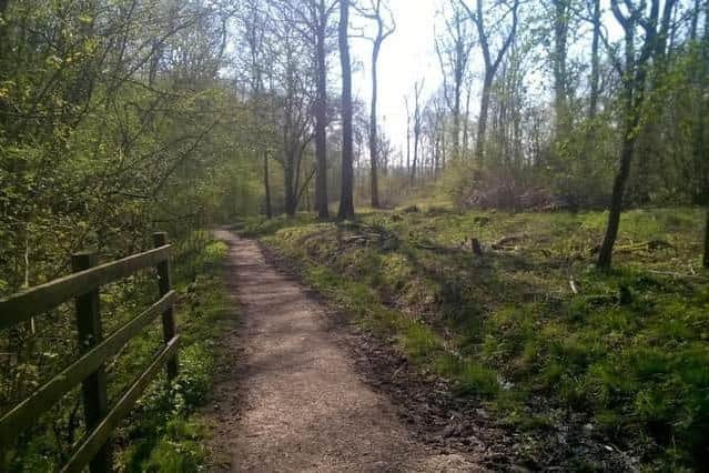 Fermyn Woods Country Park in Brigstock
