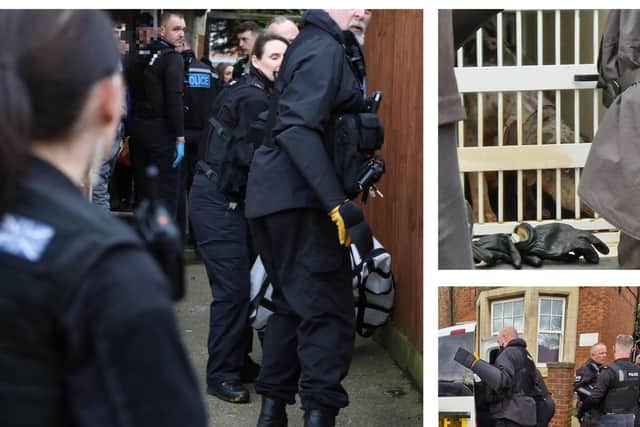 Police in Kettering seized five dogs from a flat in London Road/National World