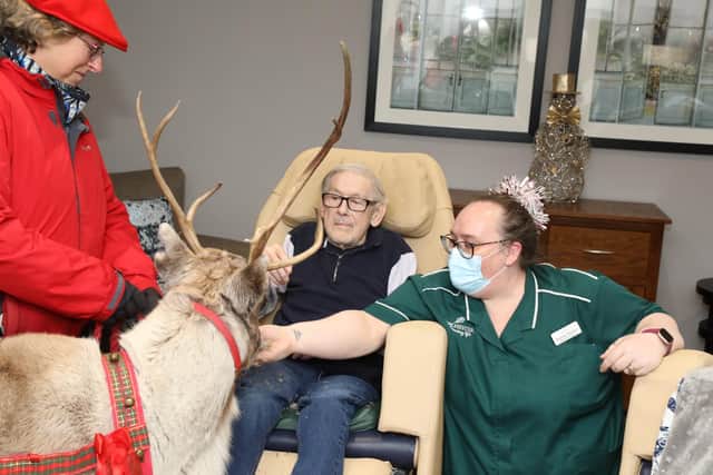 Resident Brian Robinson meets one of the reindeer helped by Beverley Warwick (healthcare assistant)