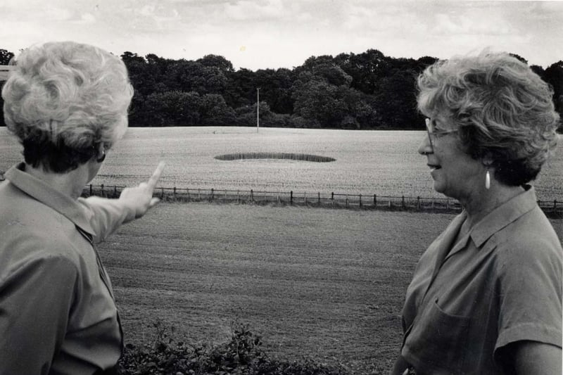 Visitors to the Samuel Pepys pub in Slipton stop to look at a crop circle in a nearby field on August 6, 1993.