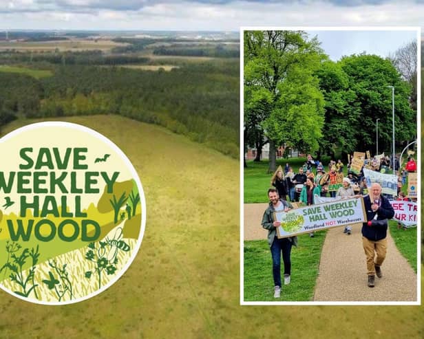 Weekley Hall Wood and wildflower meadow /Adam Riley /Save Weekley Hall Wood campaigners /IMG