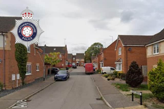 The puppy was stolen from a house in Tailby Avenue, Kettering