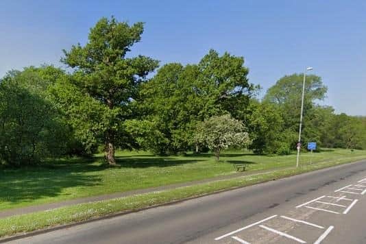 Tree canopy work is to start at Hazel and Thoroughsale Woods in Corby in October
