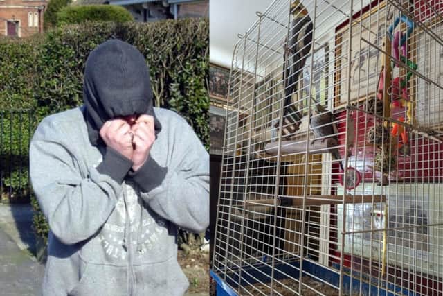 Howard pictured outside court when he was first prosecuted in 2006 (credit Rod Minchin/PA) and, right, birds found in his house in dirty cages with no fresh water.