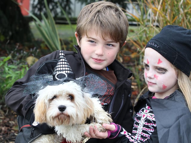 Spooky Stroll: Kettering: Wicksteed Park Kettering Vets4Pets charity dog walk Barney from Geddington with owners Stanley Kirk, 9, and Iris Kirk, 7,
2012
