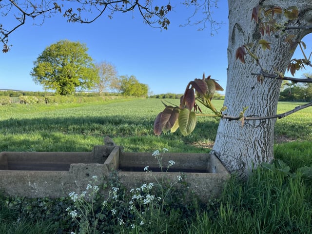 The English countryside, sent in by Jeanette Hancock