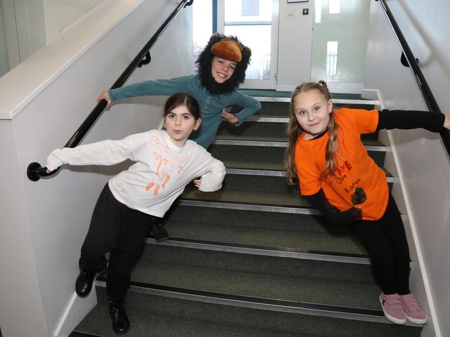 Year 3 Orangutans