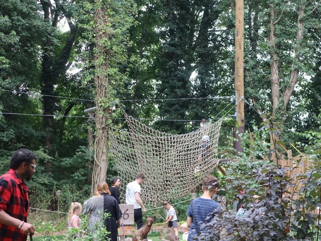 Iron Pit Woods summer fun day