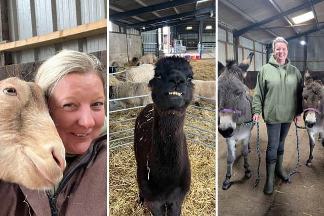Emma Davies with various Animal Antiks residents.