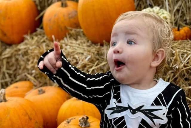 A popular Northamptonshire farm park have announced the launch of an all-new Halloween immersive experience for 2025.