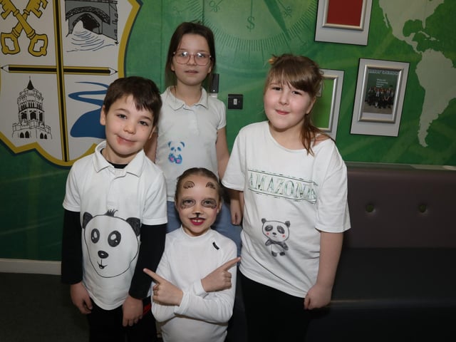 Panda power - Year 4