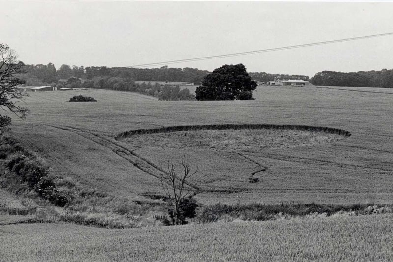 A crop circle that appeared near the A510 between Wellingborough and Finedon, on July 16, 1991.