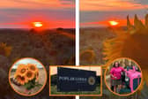 Pick-your-own sunflower event -  Poplar Lodge Farm will welcome back visitors to watch the sunset and pick sunflowers this weekend/Poplar Lodge Farm