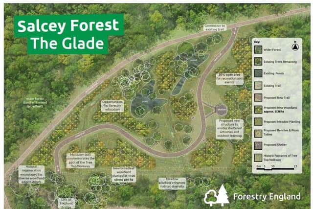 An artist's impression of what The Glade will look like. Photo: Forestry England.