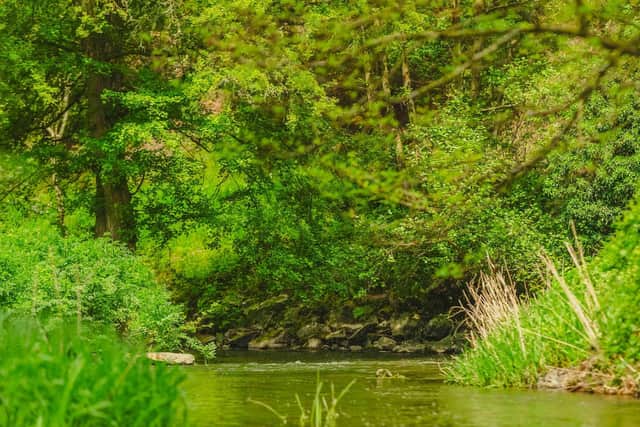 The river gorge near Calcot Cottage is beautiful
