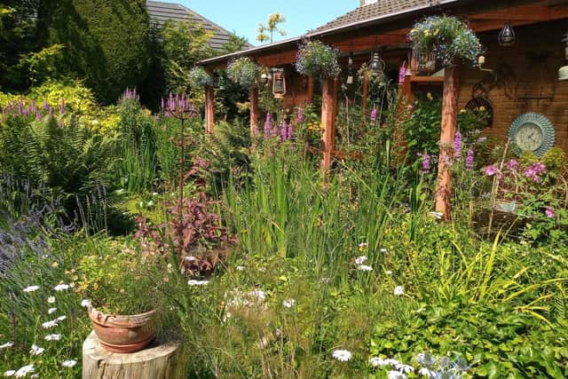 Pam Barnes's Newton Road garden