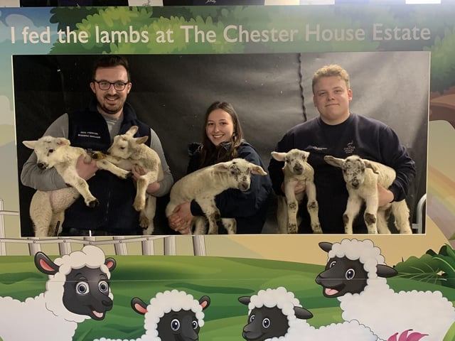 The Wellingborough attraction has a variety of spring activities running for the duration of the Easter holidays. 
A ‘spring passport’ includes bottle feeding lambs, a chocolate workshop and a giant Easter egg hunt.
Search ‘Chester House Estate’ to find out more and to purchase tickets.