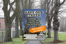 Save Our Trees campaign